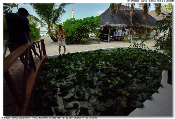 马尔代夫自助游图片