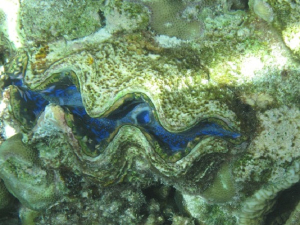 马尔代夫旅游攻略图片