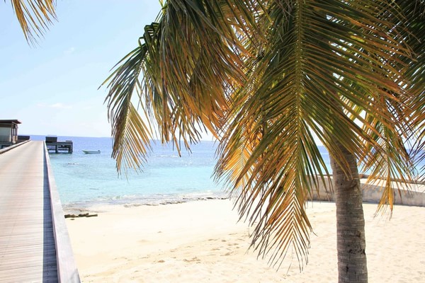 马尔代夫自助游图片