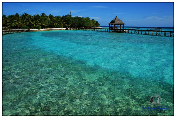 马尔代夫景点图片