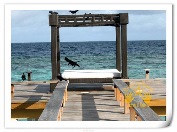 马尔代夫旅游攻略图片 马尔代夫旅游攻略图片