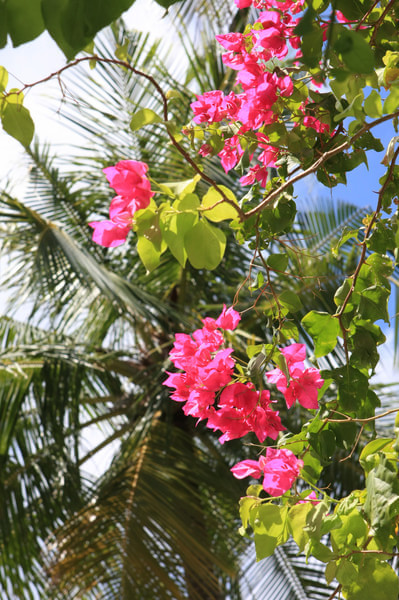 马尔代夫景点图片 马尔代夫景点图片