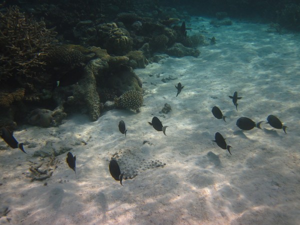 马尔代夫景点图片 马尔代夫景点图片