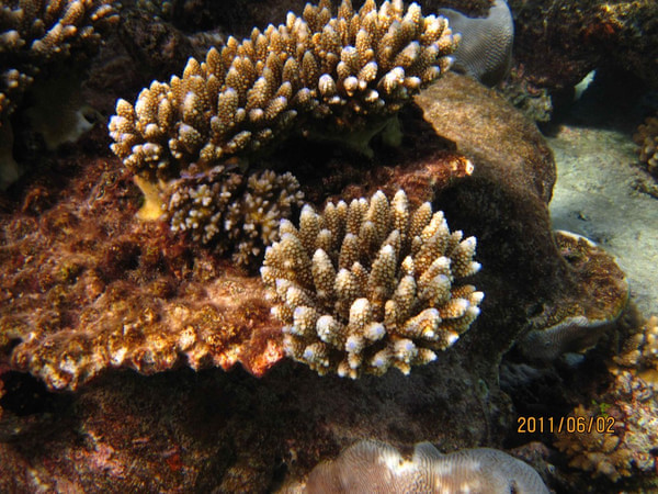 马尔代夫旅游攻略图片