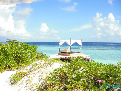 My honeymoon at Huvafen Fushi 马尔代夫 芙花芬岛 游记（选岛及游玩心得）,马尔代夫游记，海岸线假期