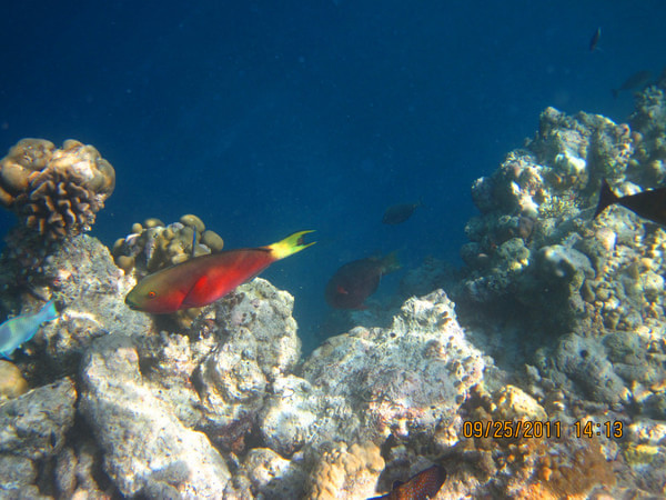 马尔代夫图片 马尔代夫图片