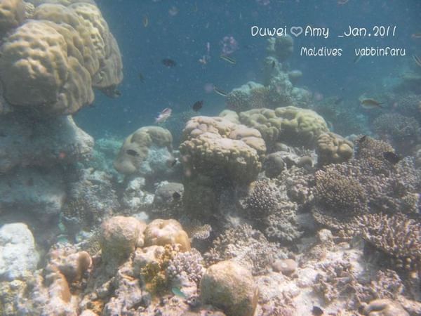 马尔代夫景点图片