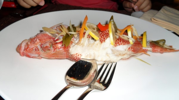 马尔代夫自助游图片