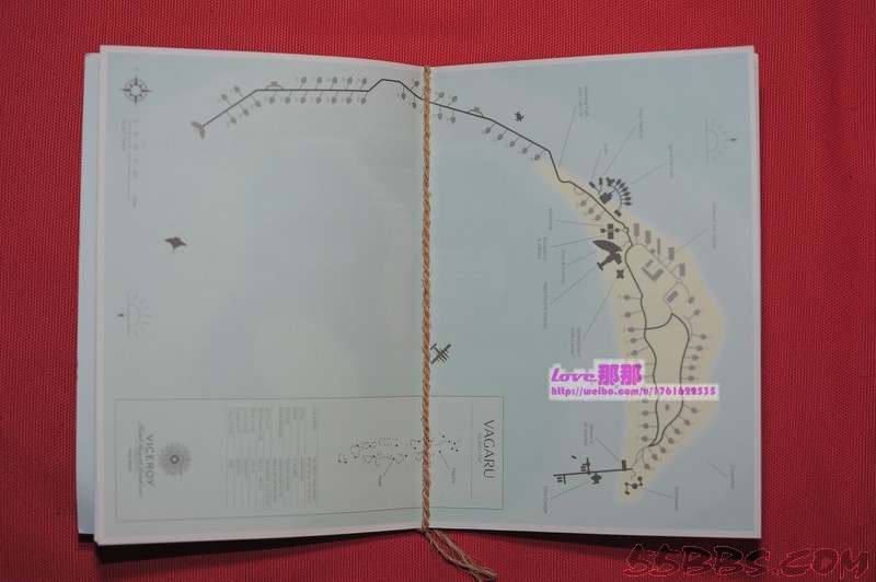 nEO_IMG_DSC_2832.jpg nEO_IMG_DSC_2832.jpg