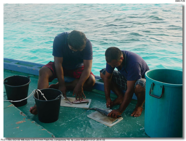 马尔代夫旅游攻略图片