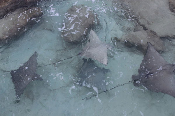 马尔代夫景点图片 马尔代夫景点图片