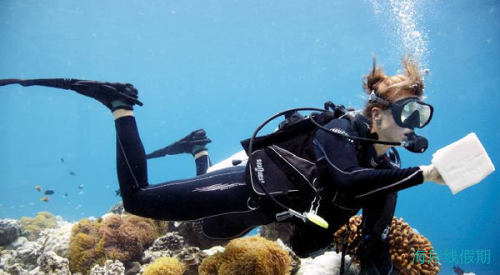 在安娜塔拉吉哈瓦，做一次珊瑚认养之旅,马尔代夫游记，海岸线假期