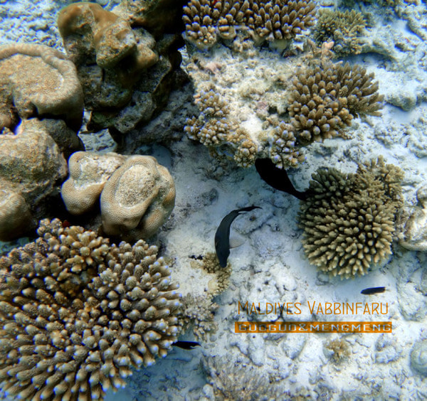 马尔代夫自助游图片 马尔代夫自助游图片