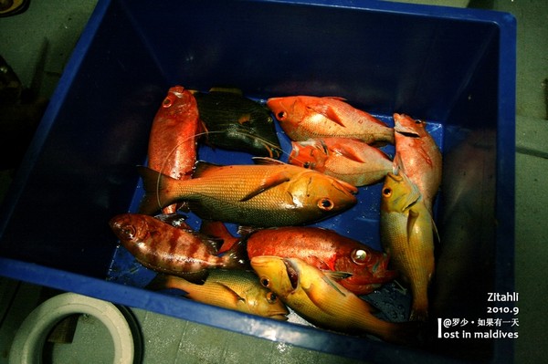 马尔代夫旅游攻略图片