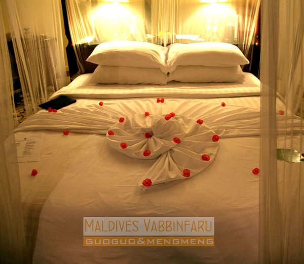 马尔代夫旅游攻略图片 马尔代夫旅游攻略图片