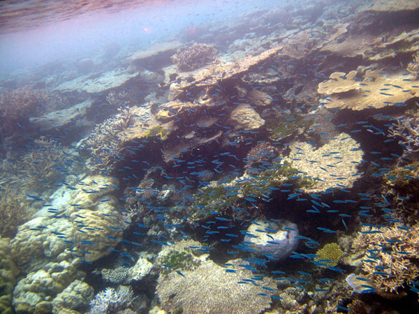 马尔代夫自助游图片