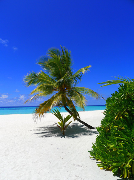 马尔代夫旅游攻略图片 马尔代夫旅游攻略图片