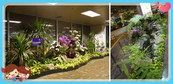 薇拉瓦鲁岛图片 薇拉瓦鲁岛图片