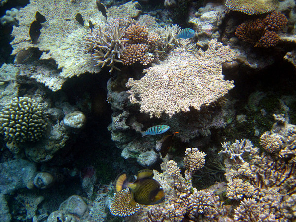 马尔代夫旅游攻略图片