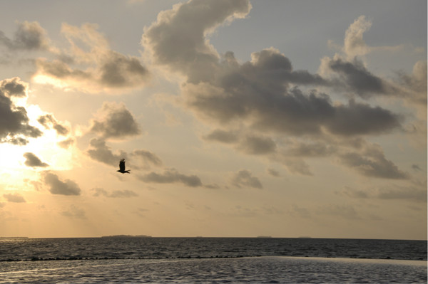 玛拉法鲁岛图片 玛拉法鲁岛图片