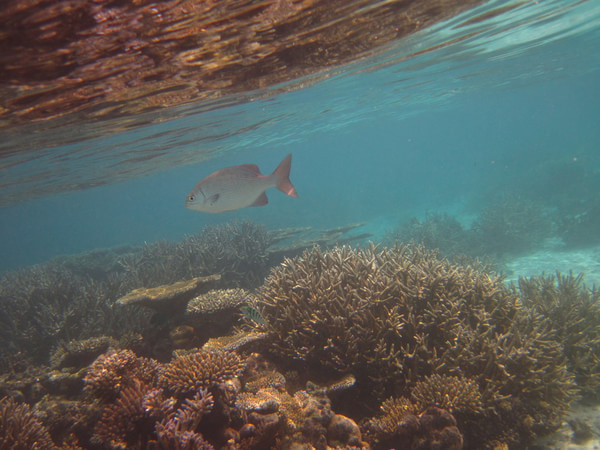 马尔代夫景点图片 马尔代夫景点图片