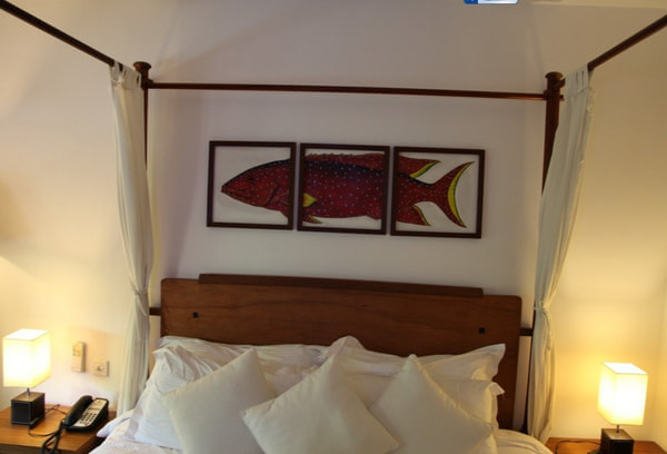 马尔代夫自助游图片