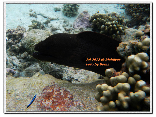 卡努呼拉岛旅游攻略图片 卡努呼拉岛旅游攻略图片