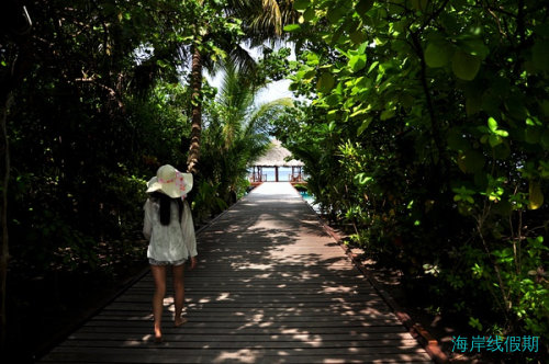 2011年6月马尔代夫游记--菲莉兹尤岛 Filitheyo,马尔代夫游记，海岸线假期