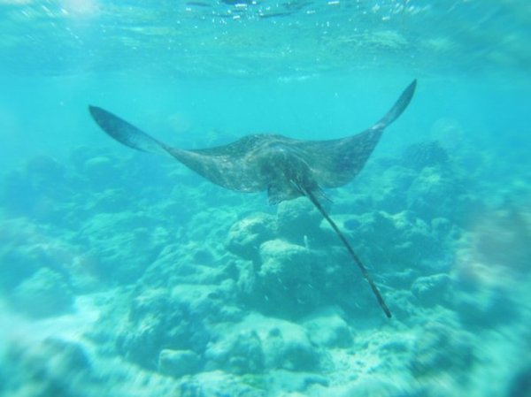 马尔代夫景点图片