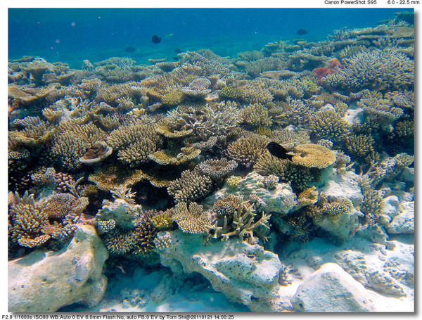 马尔代夫旅游攻略图片