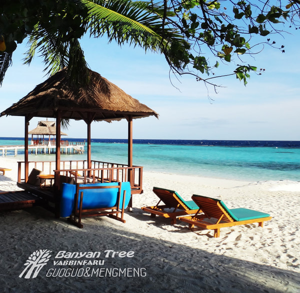 马尔代夫自助游图片 马尔代夫自助游图片