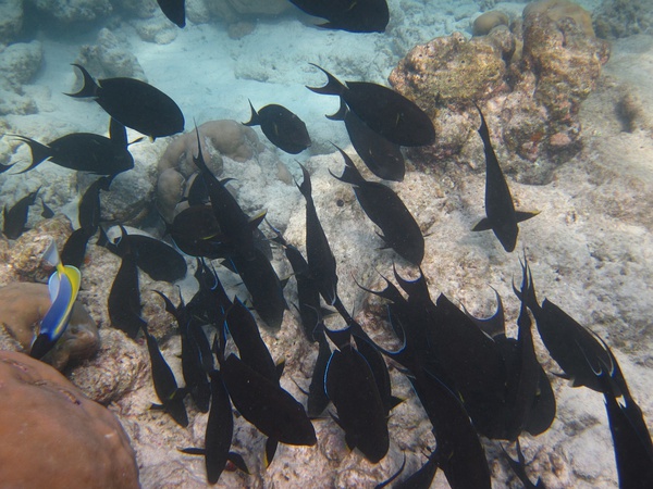 海沟，这样看很漂亮，你身处当中那是一种走在悬崖边上背脊发麻的感觉。
