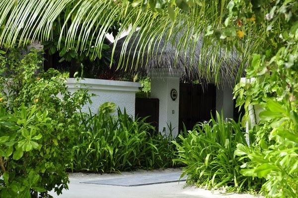 马尔代夫自助游图片