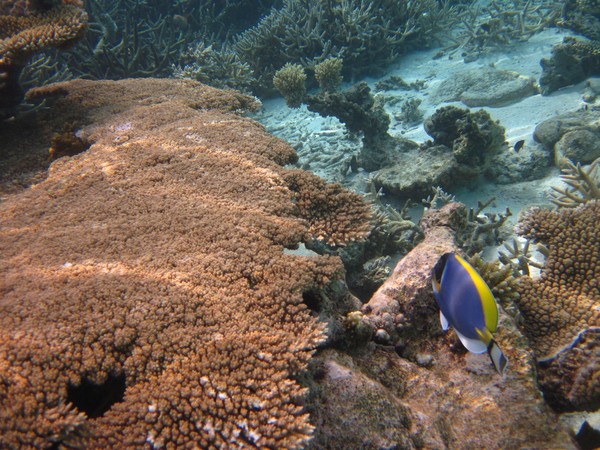 马尔代夫旅游攻略图片 马尔代夫旅游攻略图片