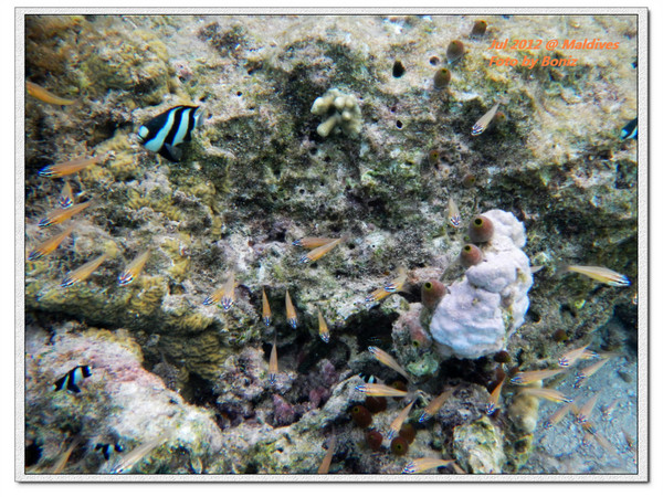 卡努呼拉岛图片 卡努呼拉岛图片