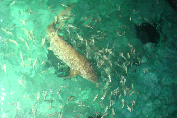 马尔代夫自助游图片