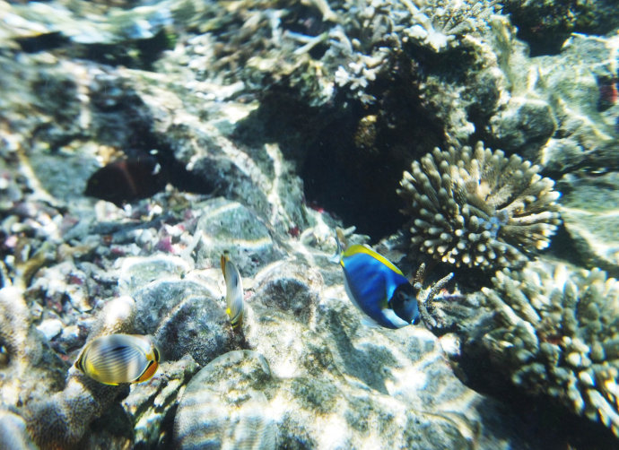 图说马尔代夫鲁滨逊岛游记