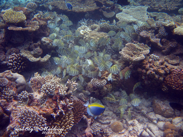 迪拜旅游攻略图片 迪拜旅游攻略图片