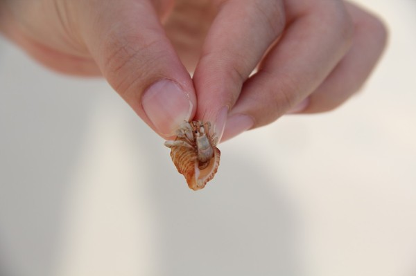 马尔代夫自助游图片