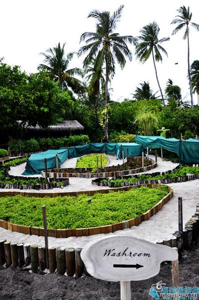 马尔代夫自助游图片