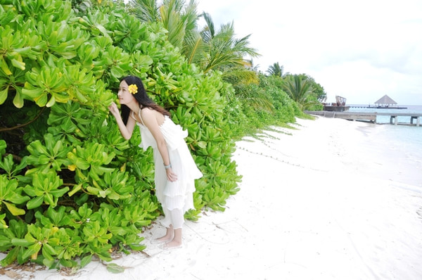 马尔代夫景点图片