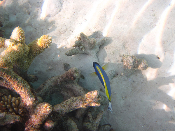 马尔代夫图片 马尔代夫图片