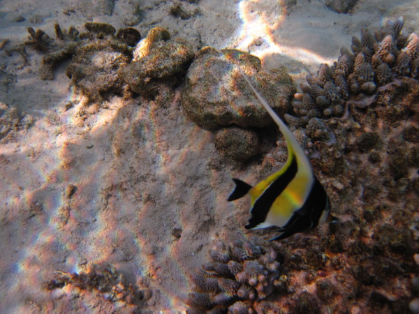马尔代夫景点图片 马尔代夫景点图片