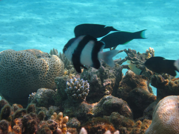 马尔代夫图片 马尔代夫图片