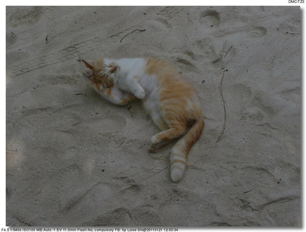 马尔代夫旅游攻略图片