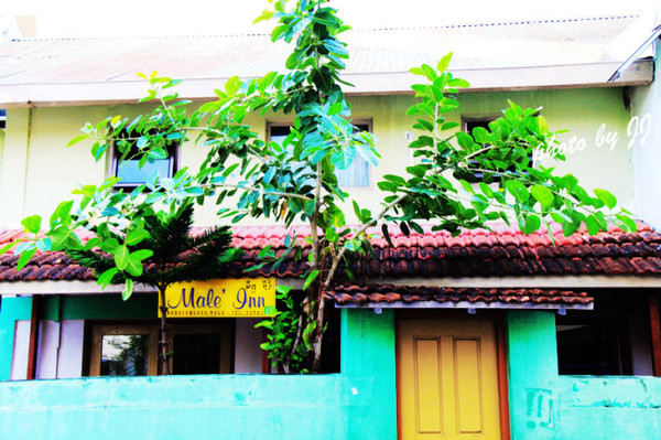 马尔代夫旅游攻略图片