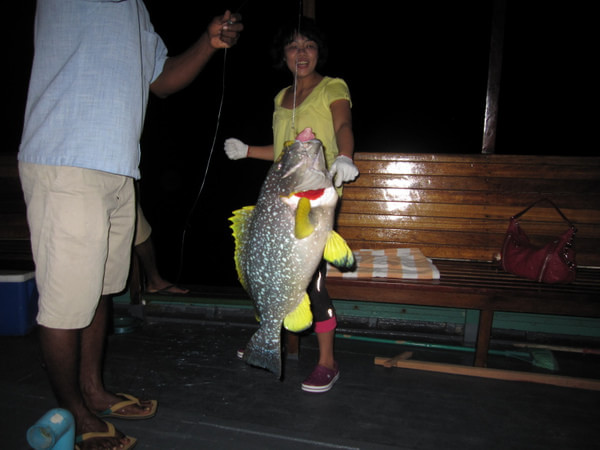 马尔代夫自助游图片 马尔代夫自助游图片