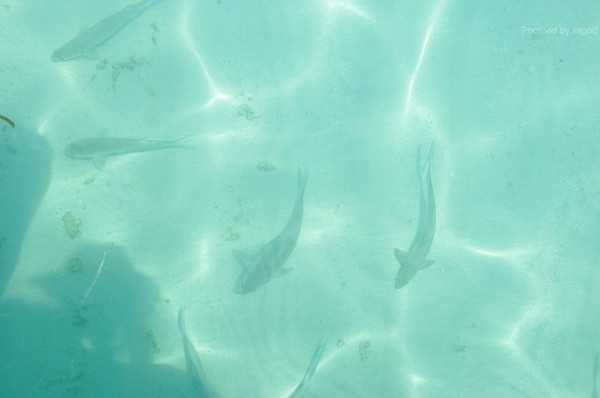 马尔代夫旅游攻略图片 马尔代夫旅游攻略图片