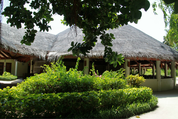 马尔代夫自助游图片