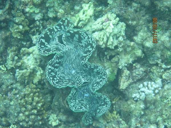 马尔代夫自助游图片